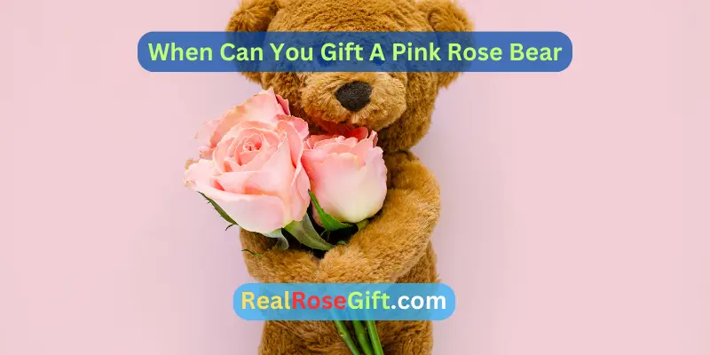 When Can You Gift A Pink Rose Bear