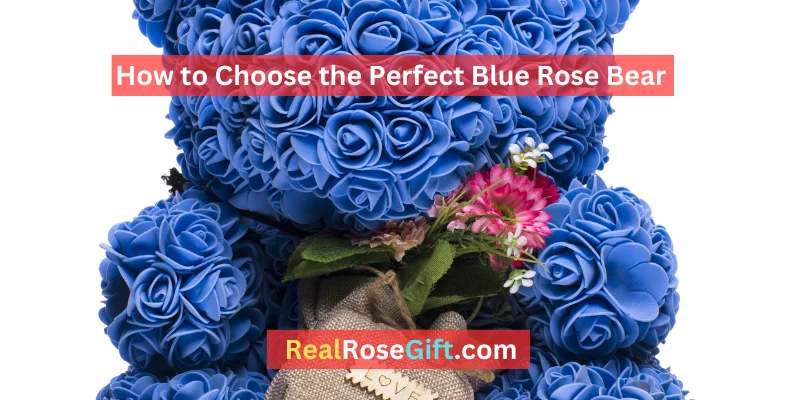 Read more about the article How to Choose the Perfect Blue Rose Bear? (A Comprehensive Guideline)