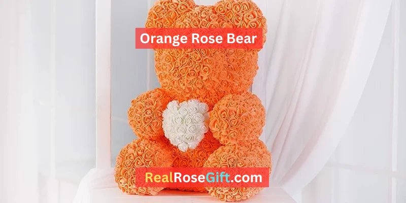 Read more about the article Orange Rose Bear: A Unique Gift for Special Someone