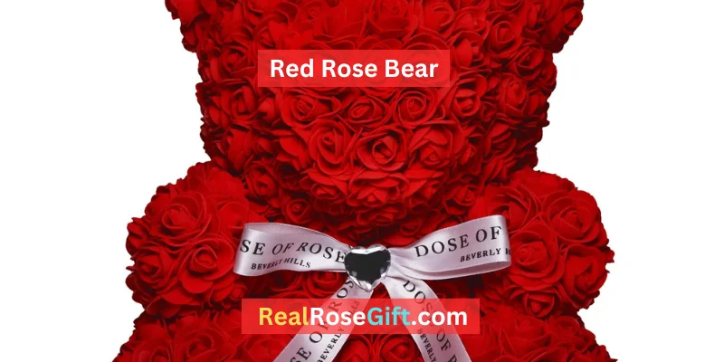 Read more about the article Red Rose Bear: A Classic Gift for Valentine’s Day