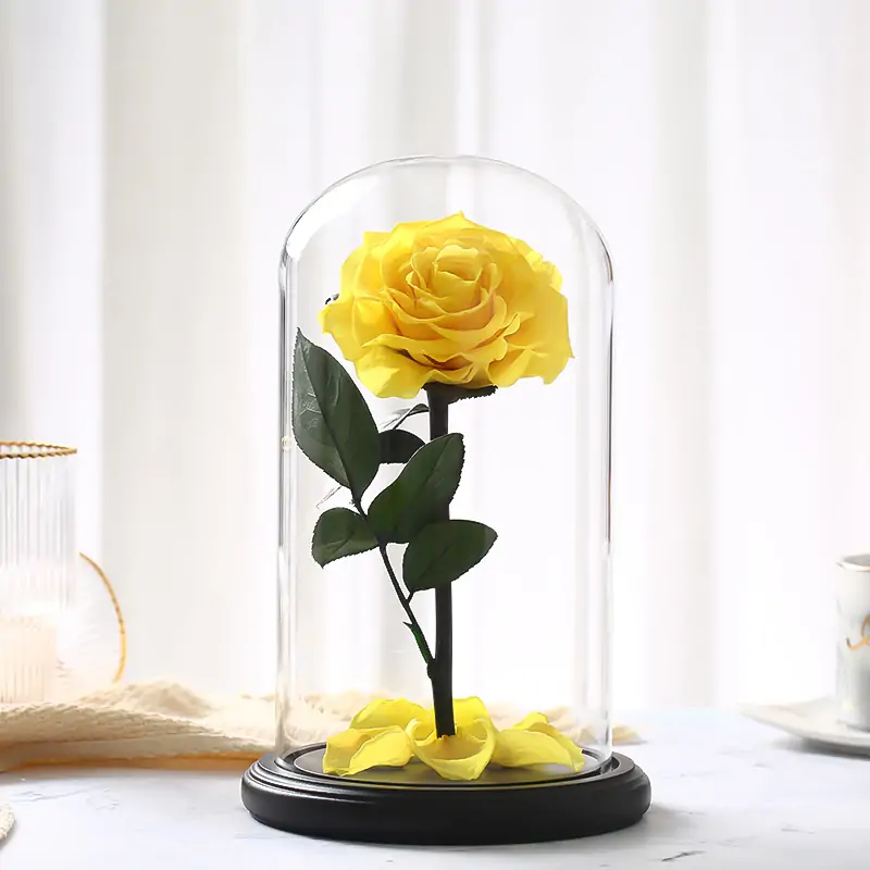 yellow-rose-dome