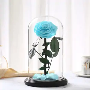 Never Fading, Always Stunning: Blue Rose in Glass Dome