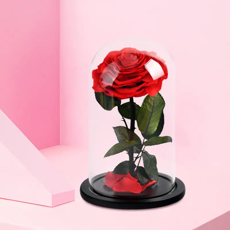 red-rose-dome